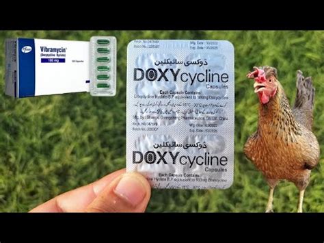 fowl pills for sale.